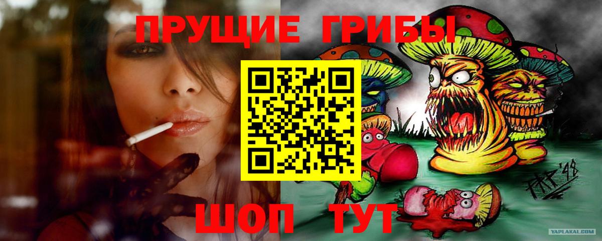 Галлюциногенные грибы GOLDEN TEACHER  Галлюциногенные грибы прущие грибы  Алатырь  Вход с VPN 